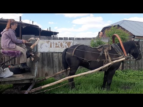 Видео: ремонт телеги Ч 3. Оглобли