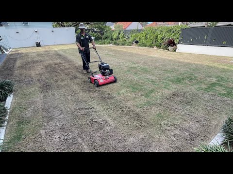 Видео: ПОЛНОЕ ОБНОВЛЕНИЕ ГАЗОНА на бермудской траве TIFTUF.