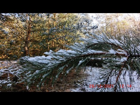 Видео: ГСВГ.Altes Lager,ОБАТО в/ч95613-полоса препятствий,автопарк 26.12.2021