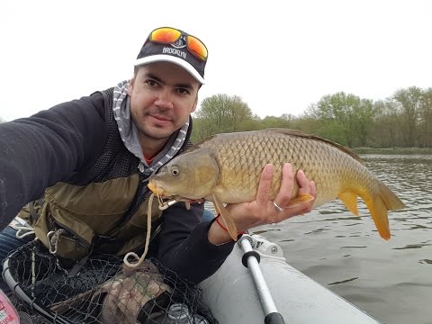 Видео: Ловля дикого карпа(сазана) на кукурузу весной на бутылку
