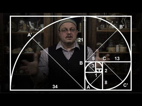 Видео: Композиция. Часть 1