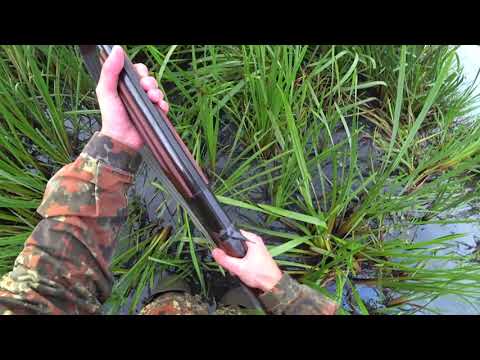 Видео: охота открытие по утке в августе ружье МР 27ЕМ 1С