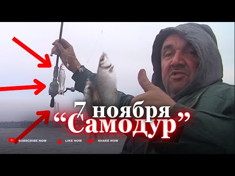 Видео: Снасть «САМОДУР», быстрая рыбалка перед работой по «дубаку» 7НОЯБРЯ 24г.