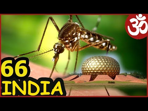 Видео: ИНДИЯ 66  Бизнес и НАЛОГИ. Я ЗАБОЛЕЛ в Индии Лихорадка ДЕНГЕ. Уезжаю на север