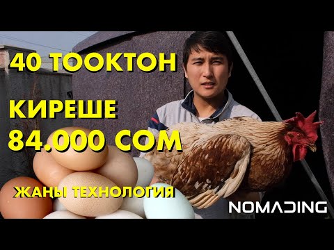 Видео: КРИЗИС УБАГЫНДА КАНТИП АКЧА ТАПСА БОЛОТ? Жылдык киреше 84 миң сом!