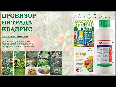 Видео: Провизор, Интрада, Квадрис -  хорошие средства от болезней овощей и винограда. Обзор фунгицидов 2025