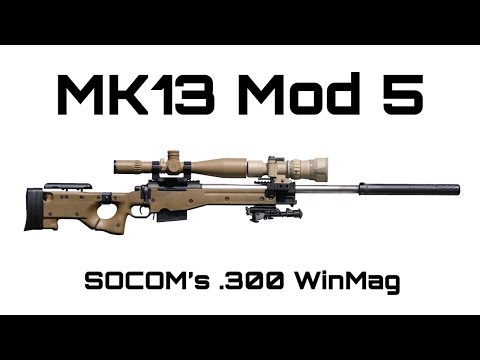 Видео: Клон MK13 Mod 5 (снайперская винтовка SOCOM 300 Win Mag)