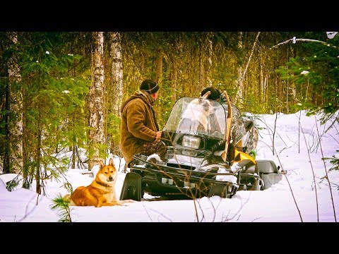 Видео: Фильм про охоту в тайге Соболь 3, фартовый сезон 9 серия