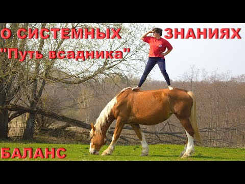 Видео: Секрет тренинга "Путь всадника" Баланс . В гармонии с лошадью.