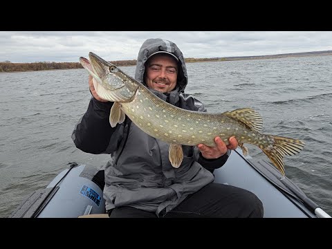 Видео: ЛОВИМО ЩУКУ В ТРОЛІНГ У ЛИСТОПАДІ. Які саме працювали воблери і на що упіймали велетенську щуку