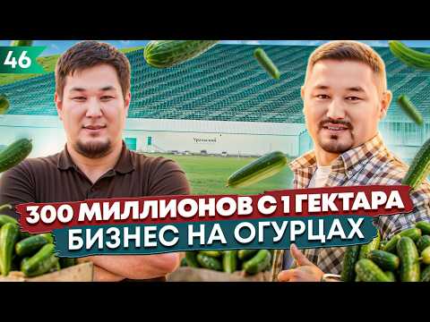 Видео: Как создать миллиардный бизнес на огурцах? Давайте разберемся!