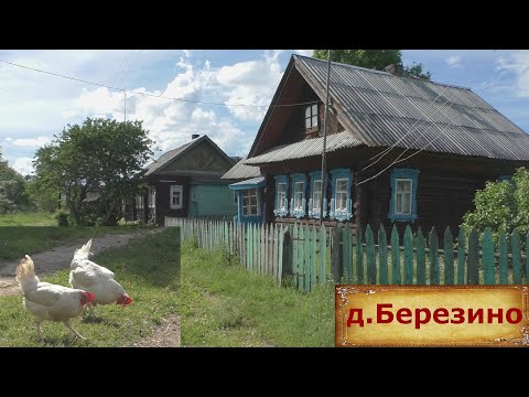 Видео: Деревня в глубинке. Тихая деревня у реки. Уютная и тихая деревня в окружении лесов. Деревня Березино