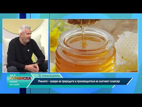 Видео: Разговор - Животот на пчеларите и значењето на медот за здравјето и еко системот