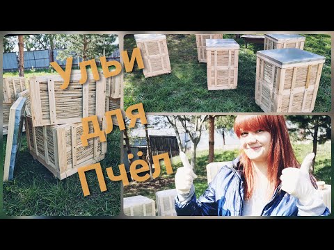 Видео: Мои первые УЛЬИ для пчел! :) Из КАМЫША? Почему?? :)