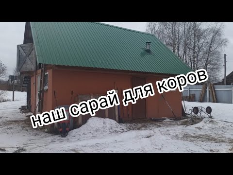 Видео: Для Новичков о коровах/Постройка и благоустройство коровника/Чистые коровы/ Обзор сарая!