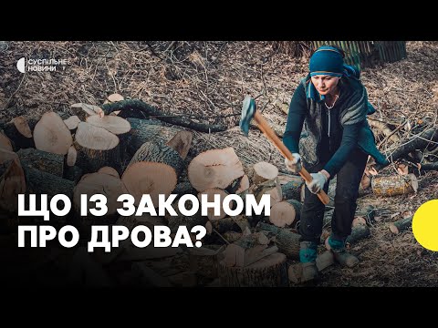 Видео: Президент не підпише закон про дрова | Навіщо потрібен закон?