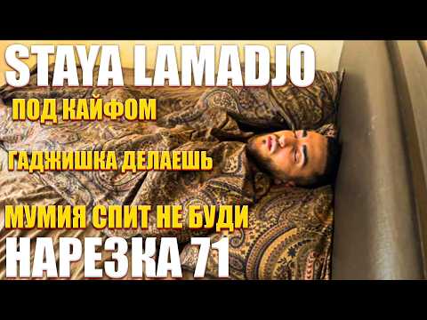 Видео: STAYA LAMADJO НАРЕЗКА 71 | ИЗМЕНА | ЧТОЛИ | КИК ИЗ СТАИ