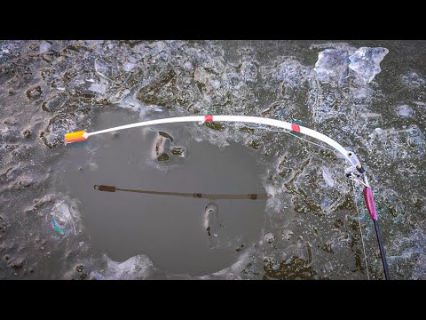 Видео: В цих КАМНЯХ сидять МОРДАТІ КАРАСІ, Ловля карася на боковий кивок зимою