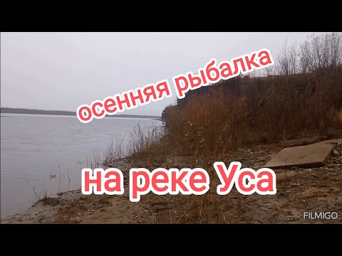 Видео: Осенняя рыбалка на реке Уса.