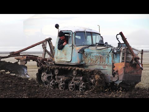 Видео: ДТ-75 снова в деле! Пашем огород под картофель!