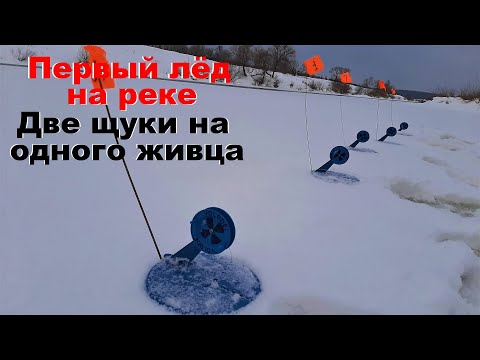 Видео: ЖЕРЛИЦЫ ТВОРЯТ ЧУДЕСА. Первый лёд на реке. Рыбалка на ЧЁРТИКА. Зимняя рыбалка.