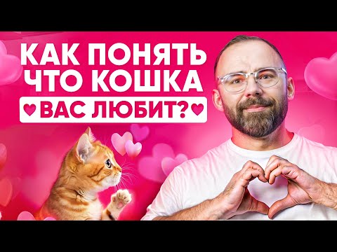Видео: 7 признаков того, что кошка ЛЮБИТ вас больше ВСЕГО на свете