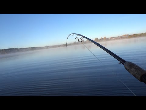 Видео: Рыбалка в конце июня на озере Вселуг и озере Стерж на Верхней Волге. Разговоры про рыбалку .