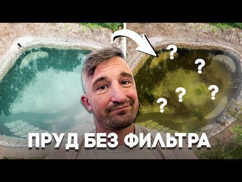 Видео: Пруд без фильтрации 4 года – что с ним стало? | История пруда Багамы | Пруд под ключ