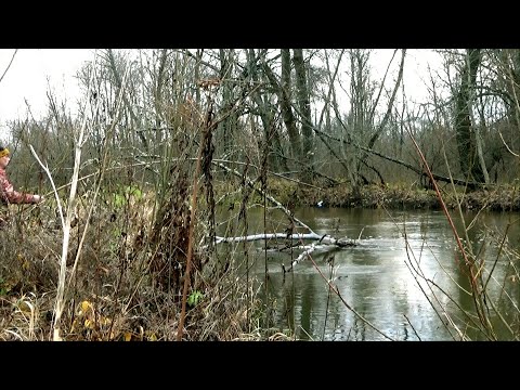 Видео: Щука затащила под коряги и я поехал за забродниками