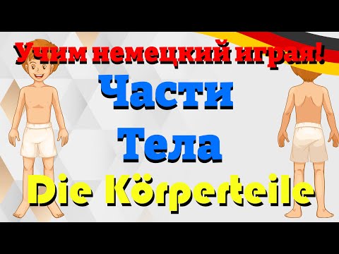 Видео: Части Тела - Die Körperteile (Учим немецкий: Словарный запас)