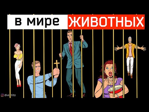 Видео: Как я перестал быть славным парнем. История отношений. Часть 1