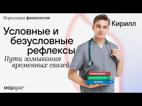 Видео: Условные и безусловные рефлексы | Пути замыкания временных связей | Нормальная физиология