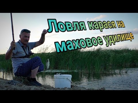 Видео: Ведро карася за два часа на маховую удочку Вечерний жор карася Это не рыбалка, а сказка Актобе 2024г