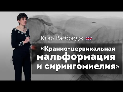 Видео: Краниоцервикальная мальформация и сирингомиелия. Canine Chiari & Syringomyelia