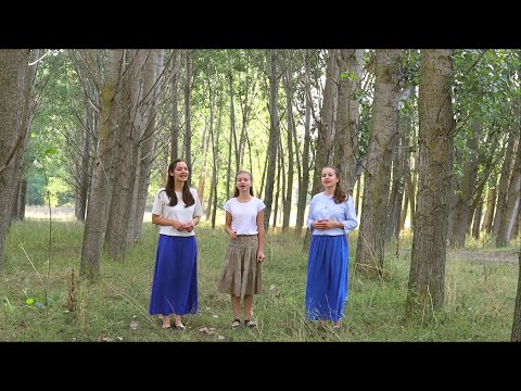 Видео: Ден след ден / Албум "Небесна мелодия"