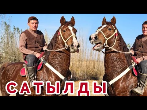 Видео: Шарт Сатылды✊️