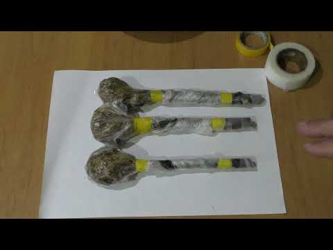 Видео: Инжир. Укоренение .1Х .24
