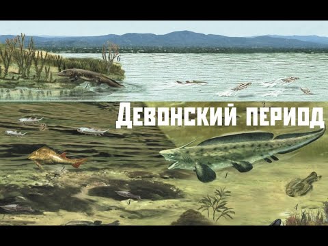 Видео: Девонский период