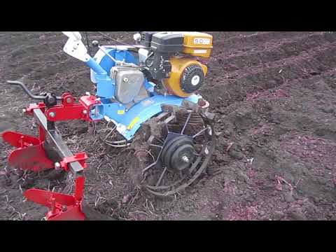 Видео: посадка картофеля мотоблоком нева.