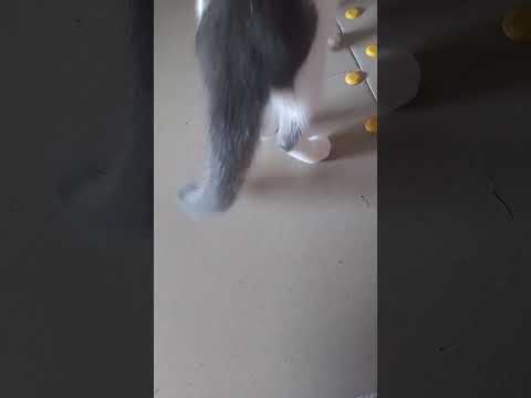 Видео: 30 октября 2025 г.