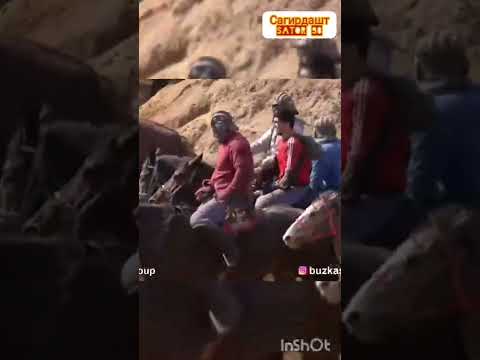 Видео: Черна Ч Сагирдашт Н Дарвоз сохиби Афтамагина гардид 🐎🐎🚗🚗