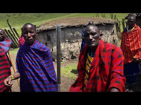 Видео: Кратер Нгоронгоро. Часть 2