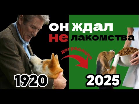 Видео: С чего начать дрессировку? Методы дрессировки: ожидание и реальность.
