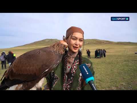 Видео: Арнайы репортаж. Дала саятшыларының сайысы