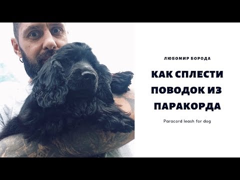 Видео: Как сплести Поводок из паракорда (Paracord leash for dog)