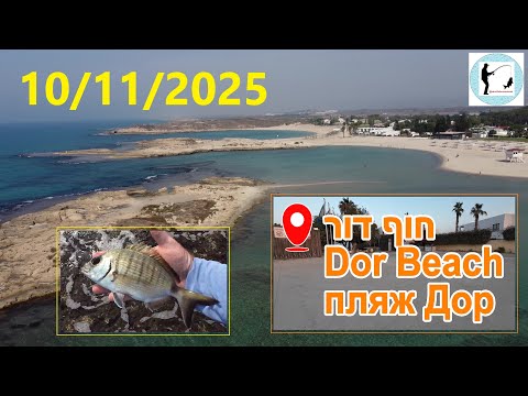Видео: 4K 10/11/2025  חוף דור דיג Dor Beach fishing рыбалка пляж Дор Pesca en la playa Dor