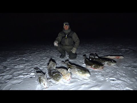 Видео: ВОЛОСЫ ДЫБОМ ОТ ТАКОЙ НОЧНОЙ РЫБАЛКИ! НАШЕСТВИЕ МОНСТРОВ В ТЕМНОТЕ! Рыбалка зимой.