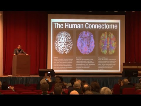 Видео: Анохин Константин - Когнитом - гиперсетевая модель мозга