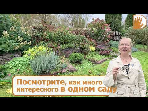 Видео: Видео журнал "СОФ №158" - ОСЕННИЙ парад интересных растений и цветник в АНГЛИЙСКИХ ТРАДИЦИЯХ