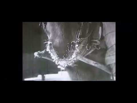 Видео: Путешествие на Карафуто. 1935 г. (синхронный перевод Яндекс-переводчика)